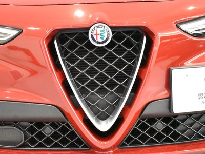 2019 ALFA Romeo STELVIO — фото 34
