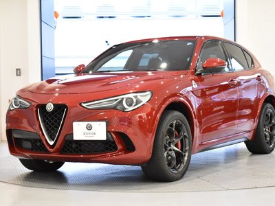 2019 ALFA Romeo STELVIO — фото 29