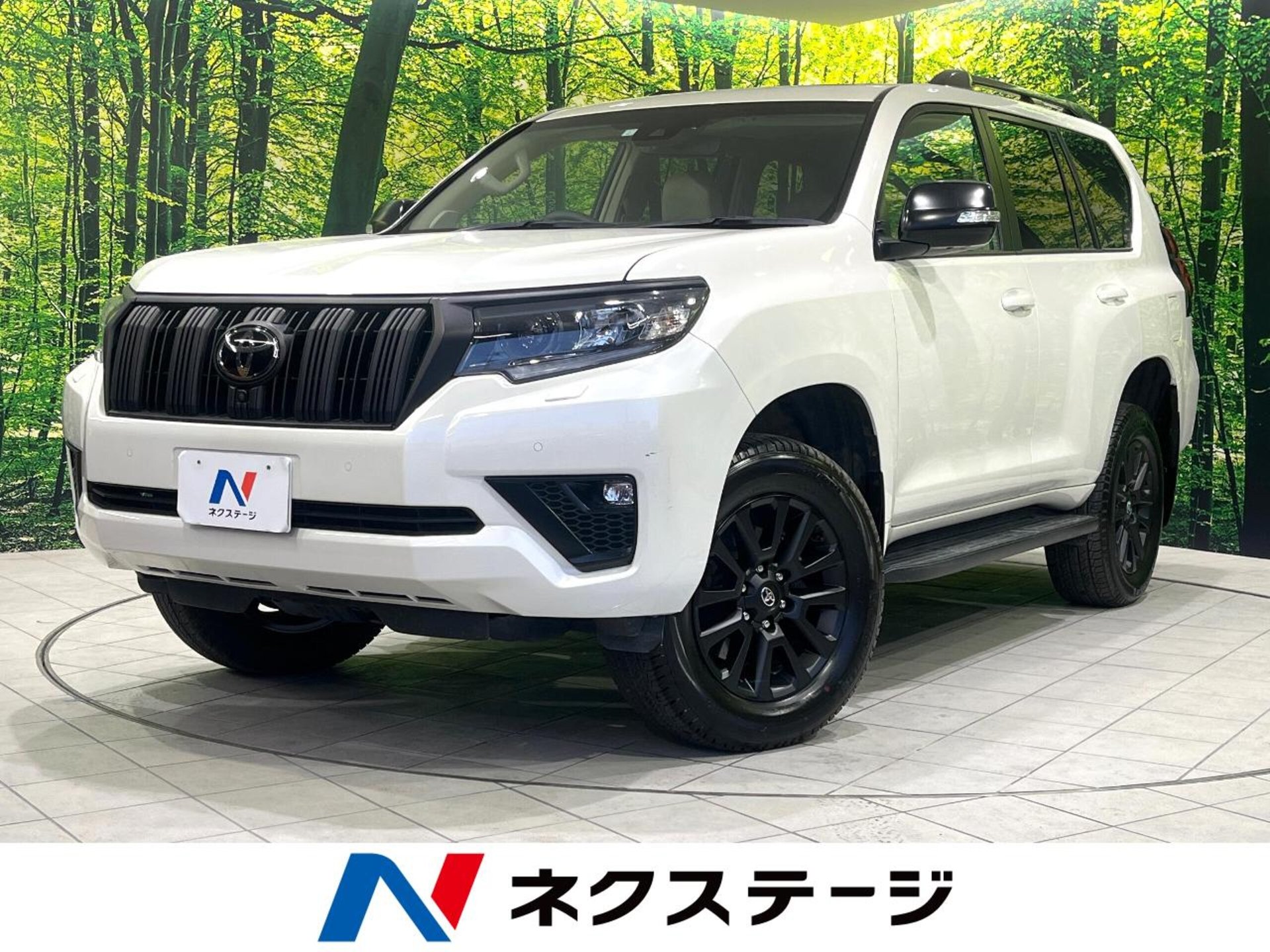 TOYOTA LAND CRUISER PRADO - View 1