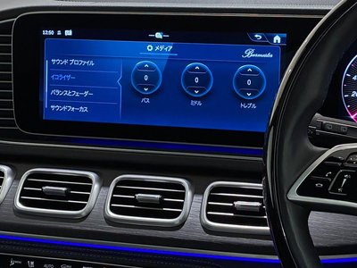 2024 Mercedes-BENZ GLS 照片 10