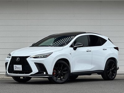 LEXUS NX - 4