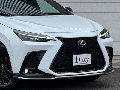 LEXUS NX - 6