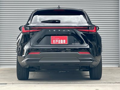 LEXUS NX - 4