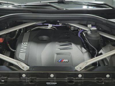 BMW X6 - 7