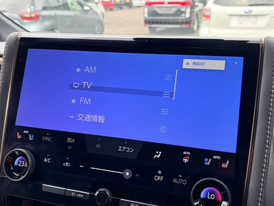 2024 Toyota ALPHARD 缩略图 15