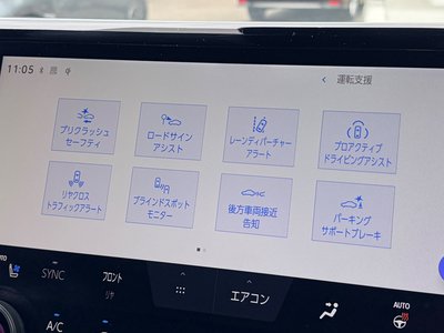 2024 Toyota ALPHARD 缩略图 24