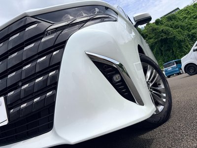 2024 Toyota ALPHARD 缩略图 56