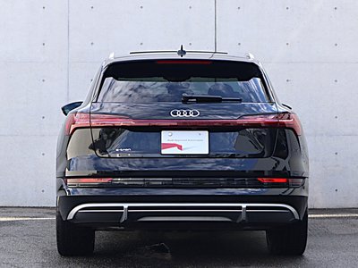 صورة مصغرة 49 لـ 2024 AUDI E-TRON