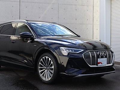 صورة مصغرة 22 لـ 2024 AUDI E-TRON