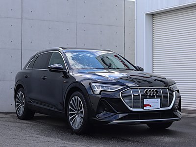 صورة مصغرة 46 لـ 2024 AUDI E-TRON