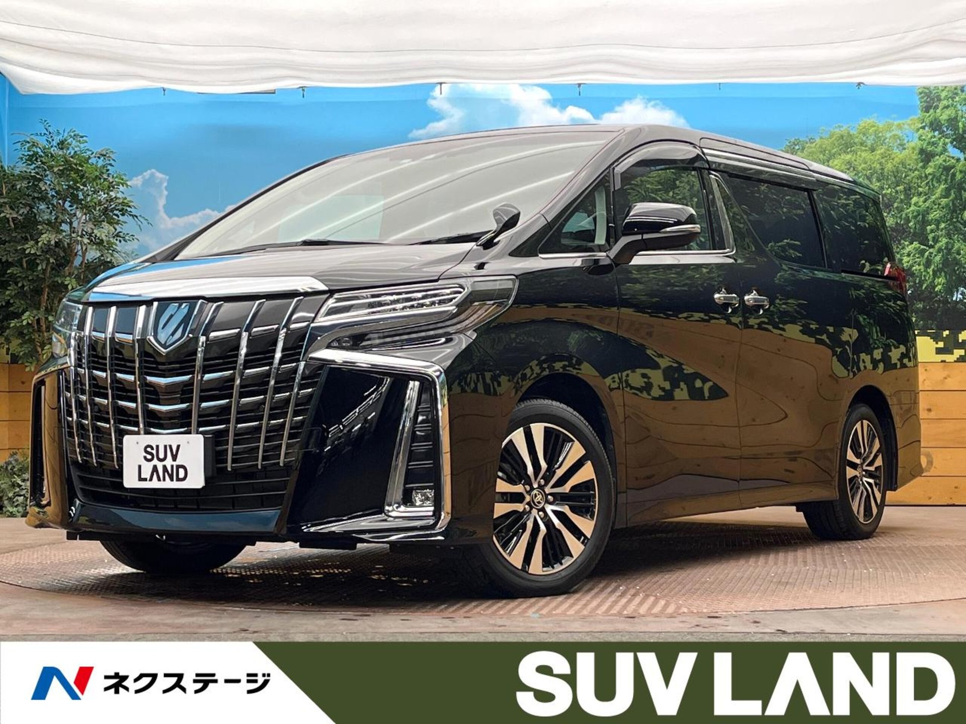 TOYOTA ALPHARD - View 1