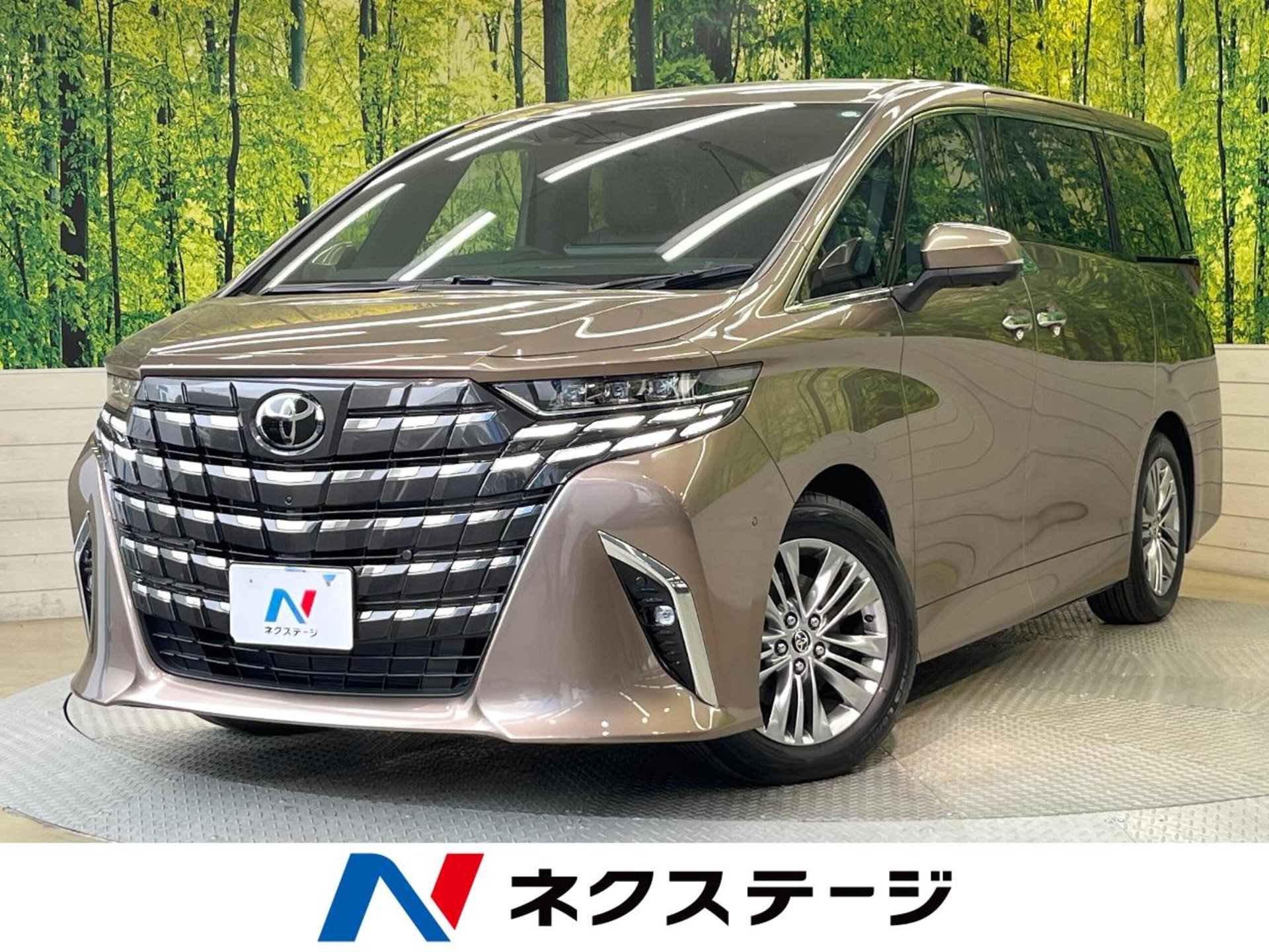 2026 TOYOTA ALPHARD — фото 1
