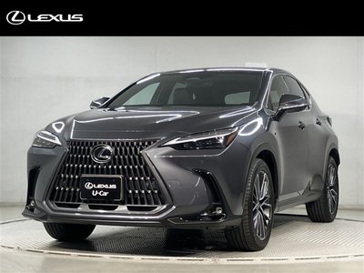 LEXUS NX - 1
