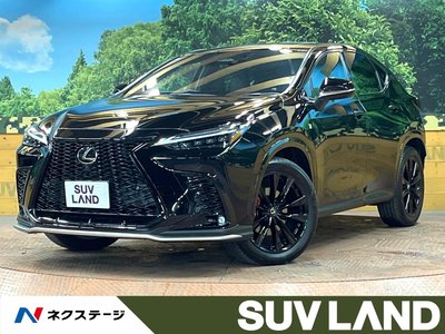 LEXUS NX - 1