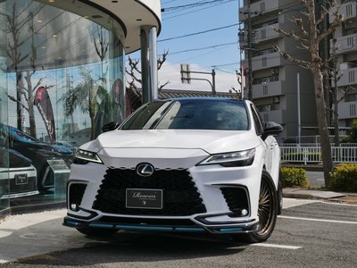 LEXUS RX - 2