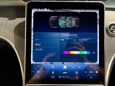 2025 Mercedes-BENZ C-CLASS 缩略图 40