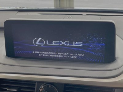 LEXUS RX - 4