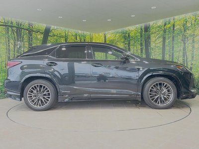 2020 Lexus RX — миниатюра 28