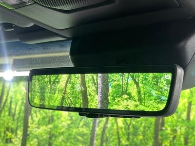 TOYOTA LAND CRUISER 250 - 5