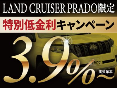 TOYOTA LAND CRUISER PRADO - 2