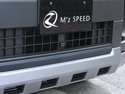 TOYOTA LAND CRUISER 250 - 10