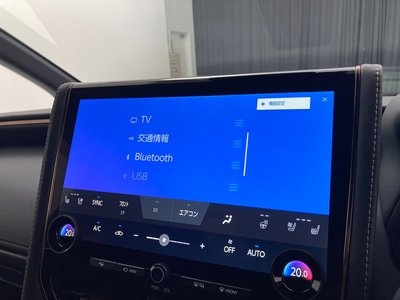 2024 TOYOTA ALPHARD 照片 7