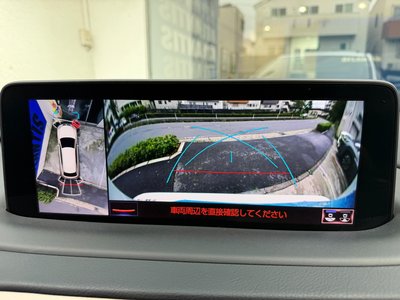 2021 Lexus RX thumbnail 36
