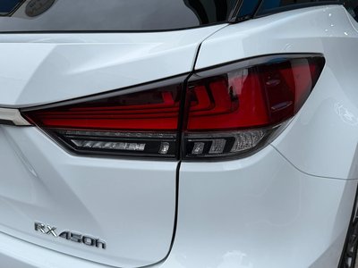 2021 Lexus RX thumbnail 20