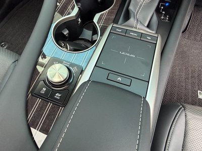 2021 Lexus RX thumbnail 31