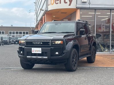 TOYOTA LAND CRUISER 250 - 10