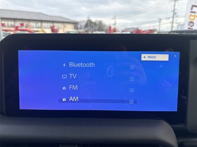 TOYOTA LAND CRUISER 250 - 6