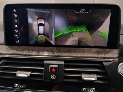 2019 BMW X4 — миниатюра 49