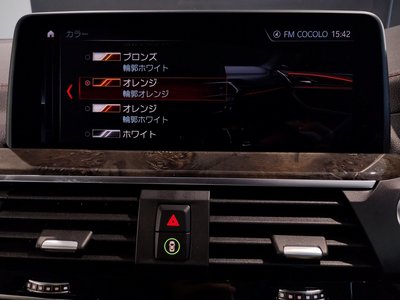 2019 BMW X4 — миниатюра 46