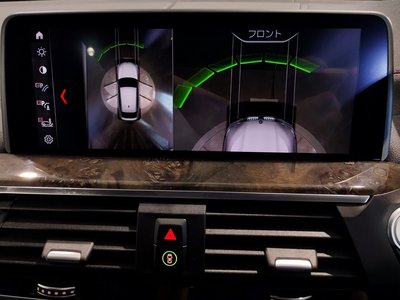 2019 BMW X4 — миниатюра 50
