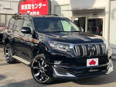 TOYOTA LAND CRUISER PRADO - 5