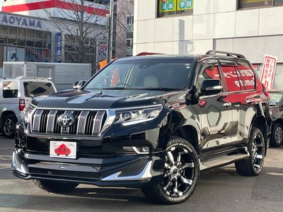 TOYOTA LAND CRUISER PRADO - 3