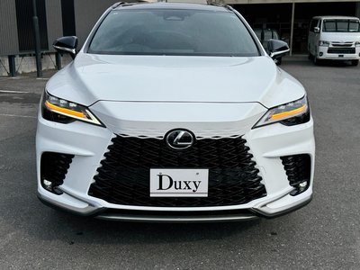 LEXUS RX - 8