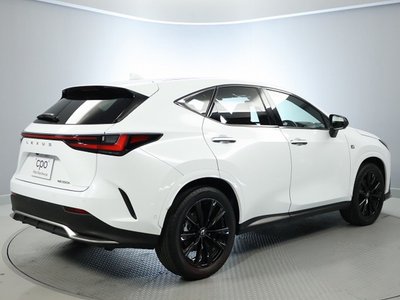 LEXUS NX - 10