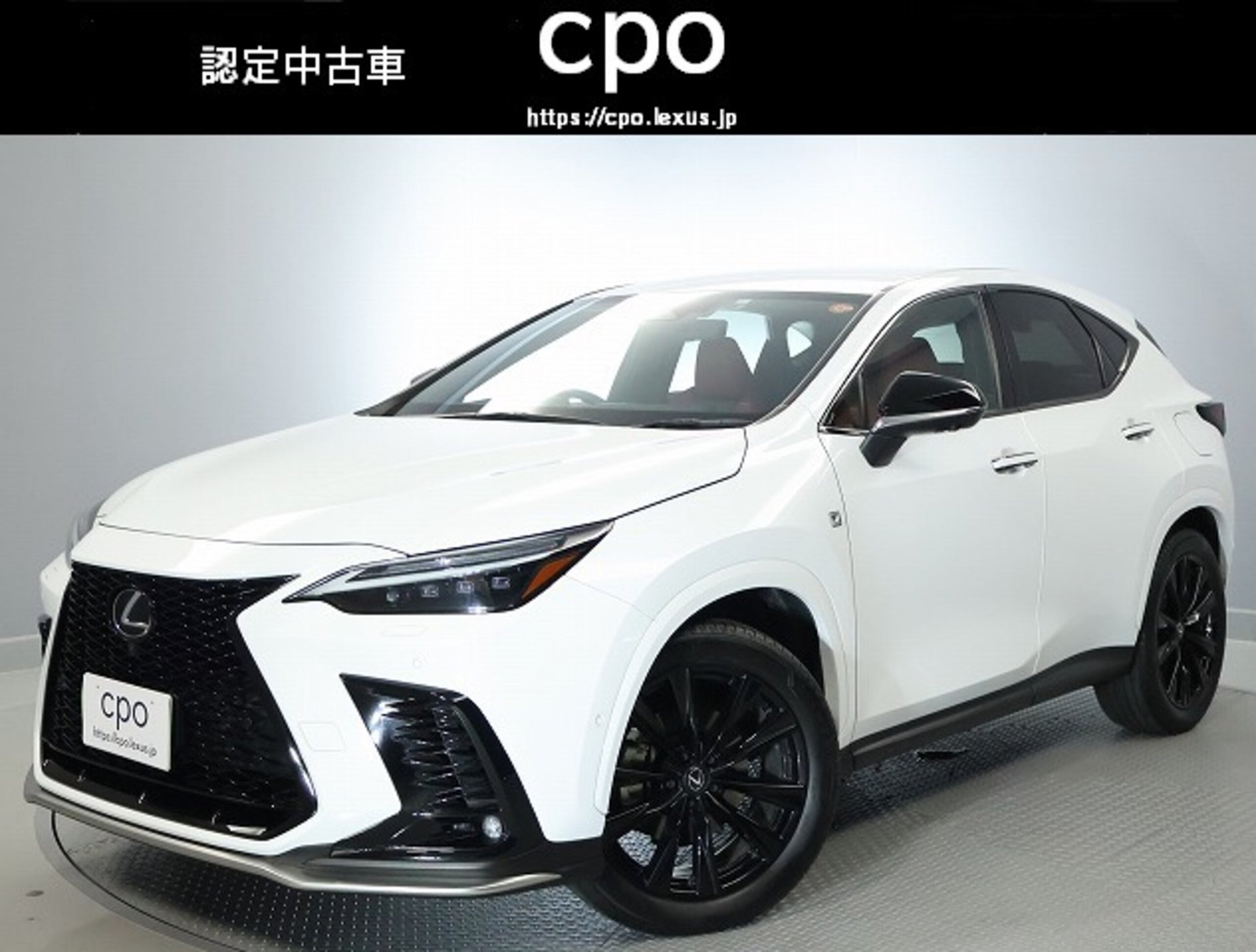 LEXUS NX - View 1