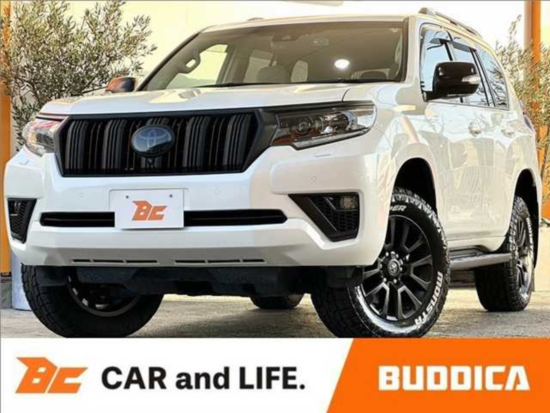 TOYOTA LAND CRUISER PRADO - View 1