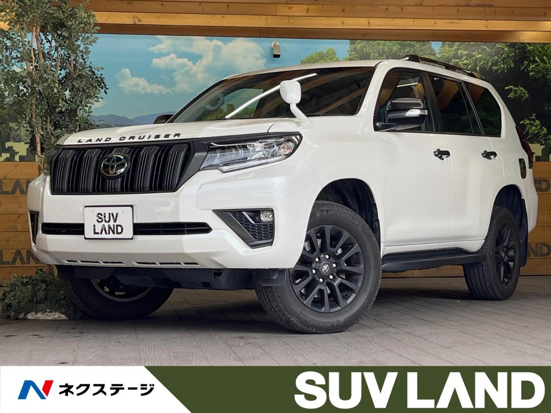 TOYOTA LAND CRUISER PRADO - View 1