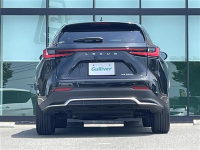 2025 Lexus NX — миниатюра 23