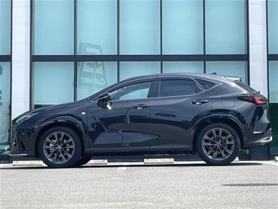 2025 Lexus NX — миниатюра 22