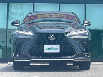 2025 Lexus NX — миниатюра 20