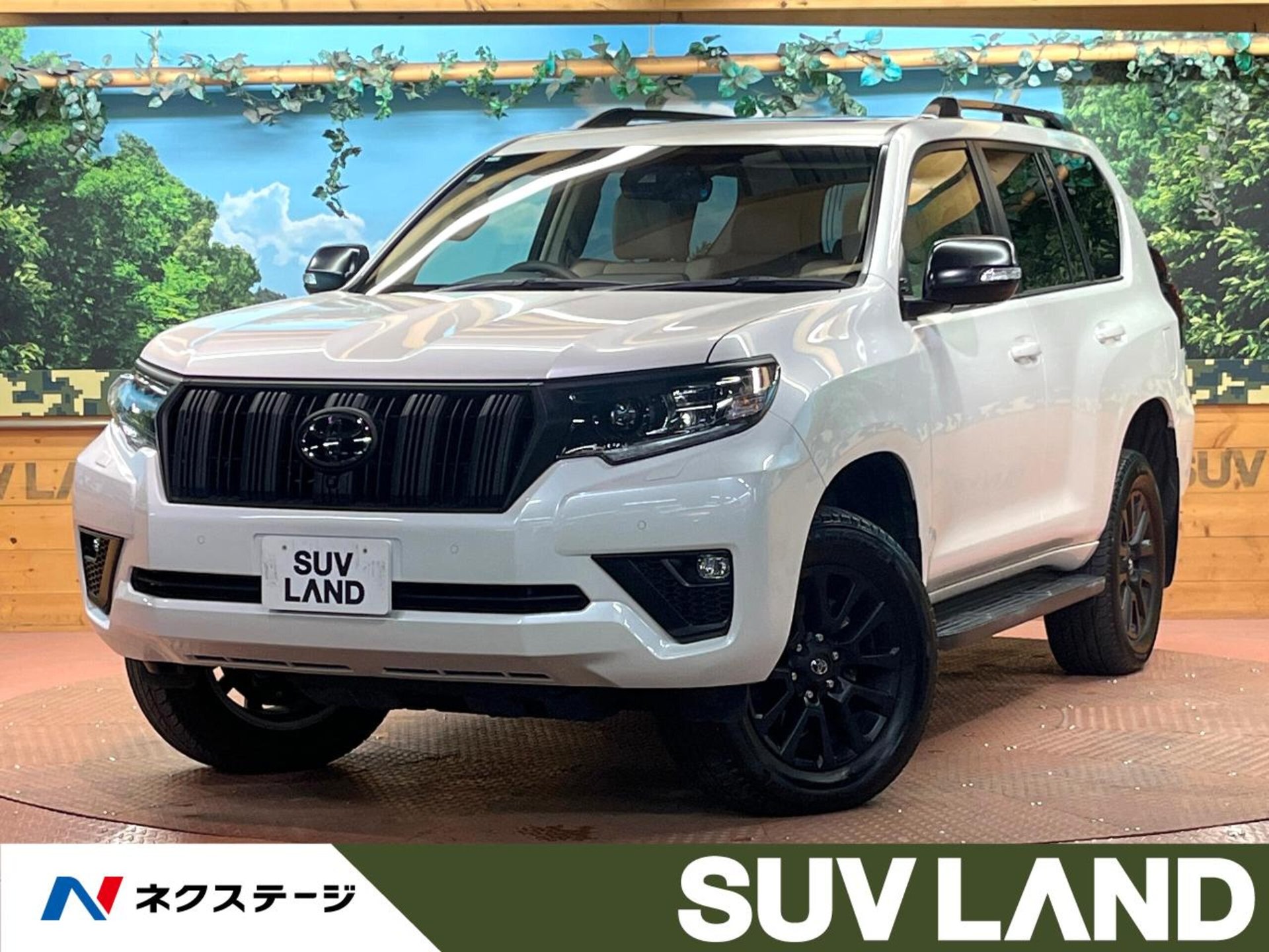 TOYOTA LAND CRUISER PRADO - View 1