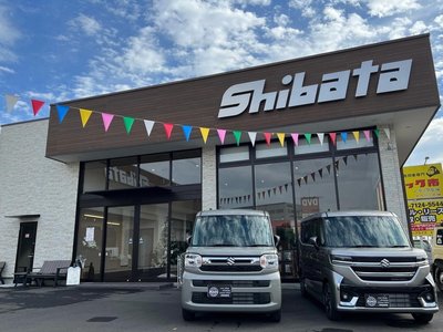 2024 Toyota LAND CRUISER 250 缩略图 47