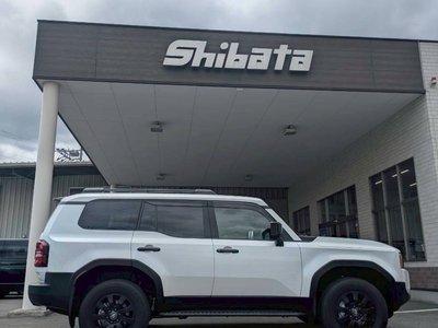 2024 Toyota LAND CRUISER 250 缩略图 17