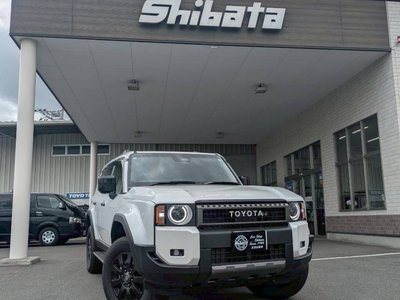 2024 Toyota LAND CRUISER 250 缩略图 18