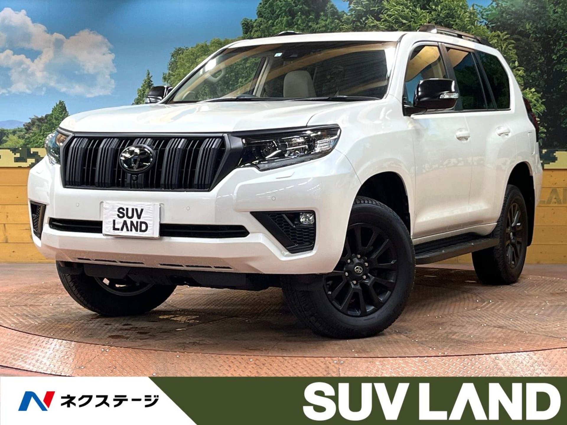 TOYOTA LAND CRUISER PRADO - View 1