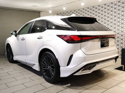 LEXUS RX - 2